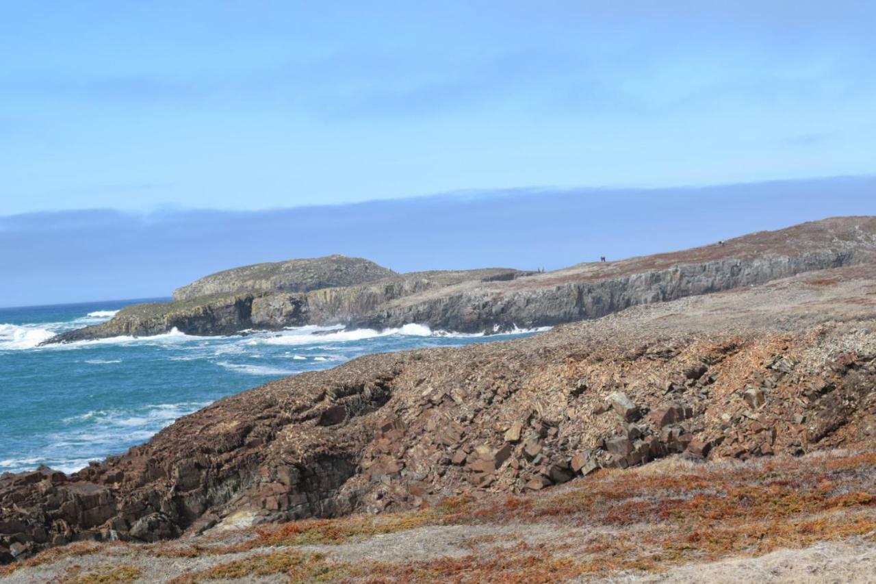 Bird Island B&B Bed And Bubble Elliston Exterior photo